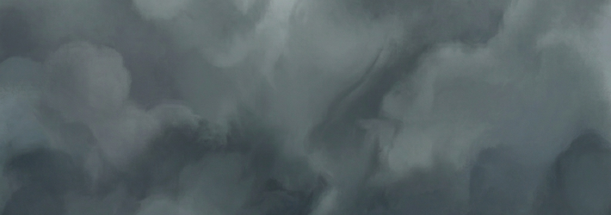 Profile Banner