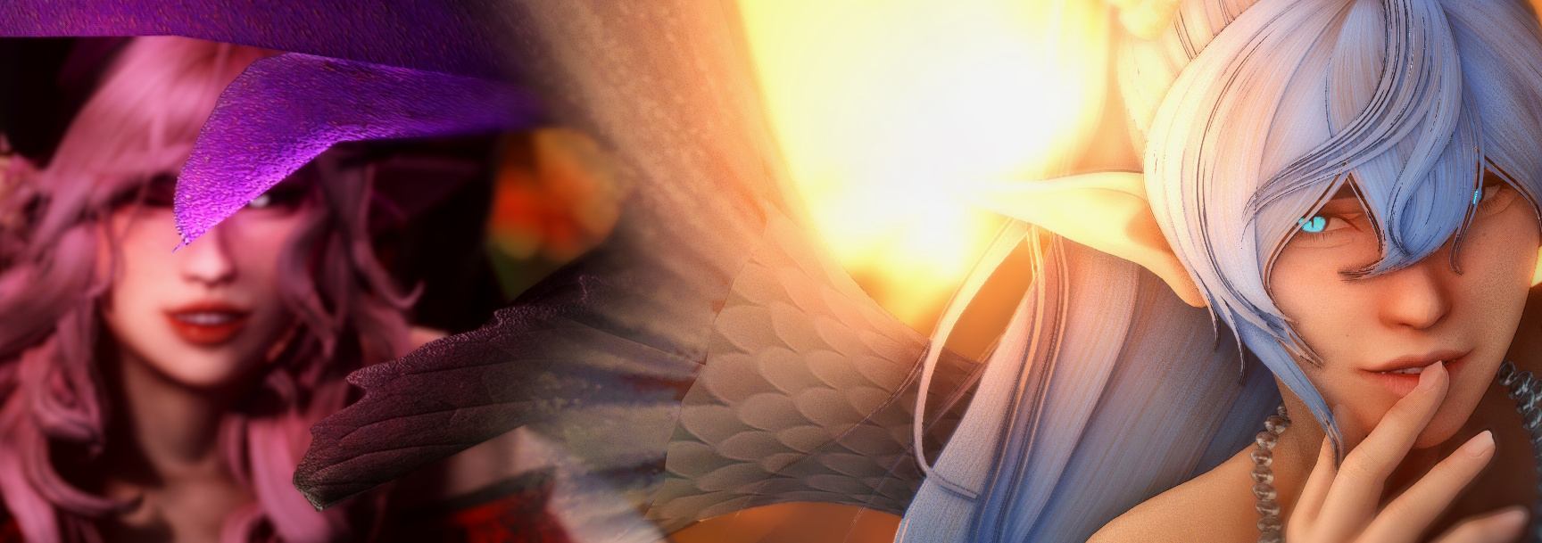 Profile Banner