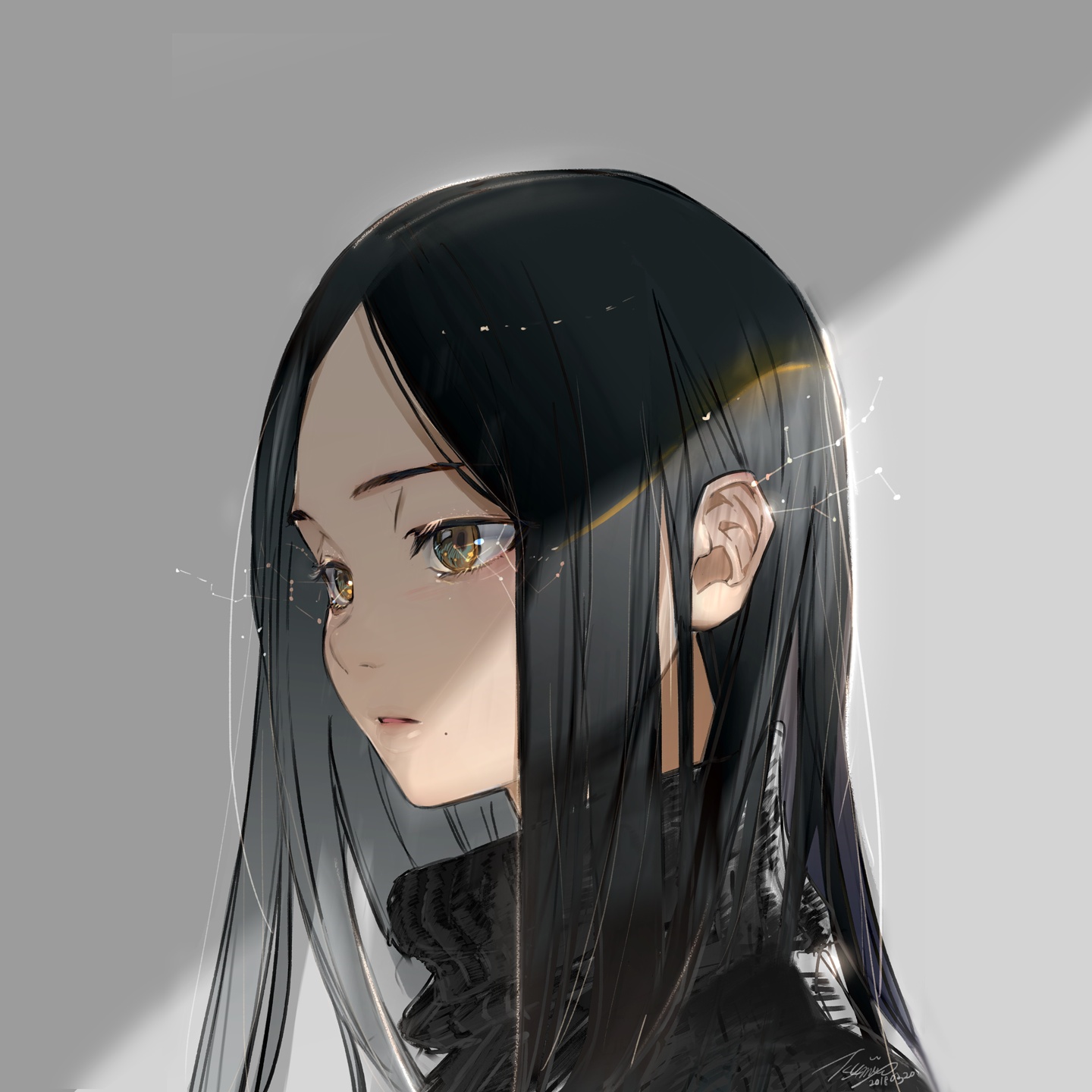 Reader