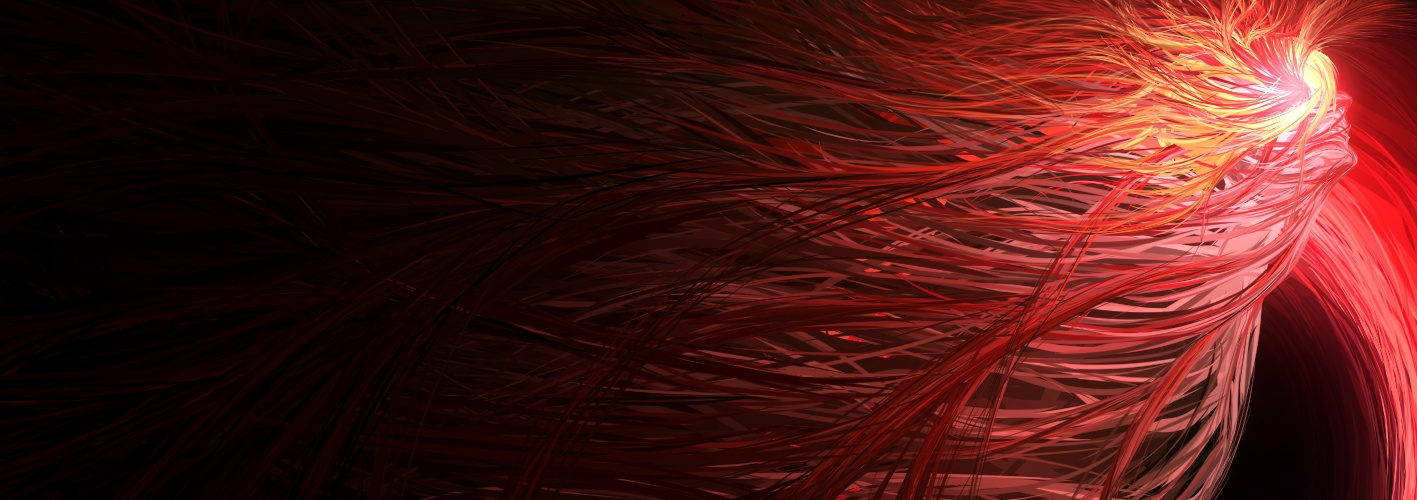 Profile Banner